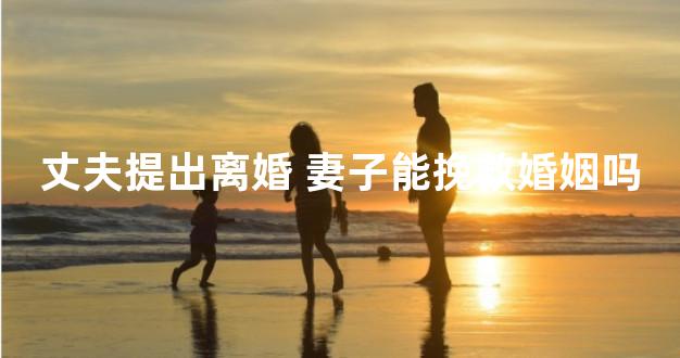 丈夫提出离婚 妻子能挽救婚姻吗
